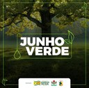 JUNHO VERDE